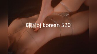 韩国bj korean 520