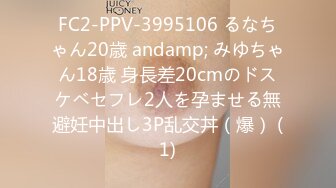 FC2-PPV-3995106 るなちゃん20歳 andamp; みゆちゃん18歳 身長差20cmのドスケベセフレ2人を孕ませる無避妊中出し3P乱交丼（爆） (1)