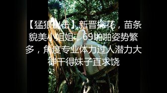 【猛狼出击】新晋探花，苗条貌美小姐姐，69啪啪姿势繁多，角度专业体力过人潜力大神干得妹子直求饶