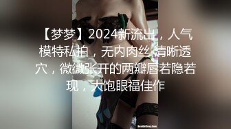 【梦梦】2024新流出，人气模特私拍，无内肉丝 清晰透穴，微微张开的两瓣唇若隐若现，大饱眼福佳作